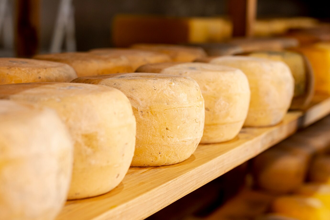 variedad de quesos de Galicia elaborados con leche natural y fresca
