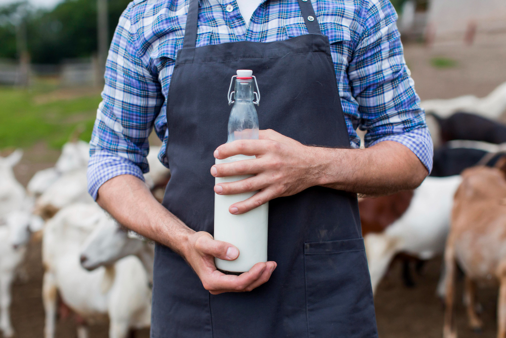 variedad de leche de Galicia, productos lácteos y leche natural